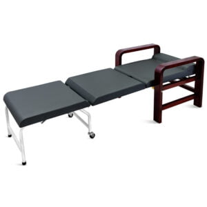 Scaun insotitor extensibil PSKE001-3